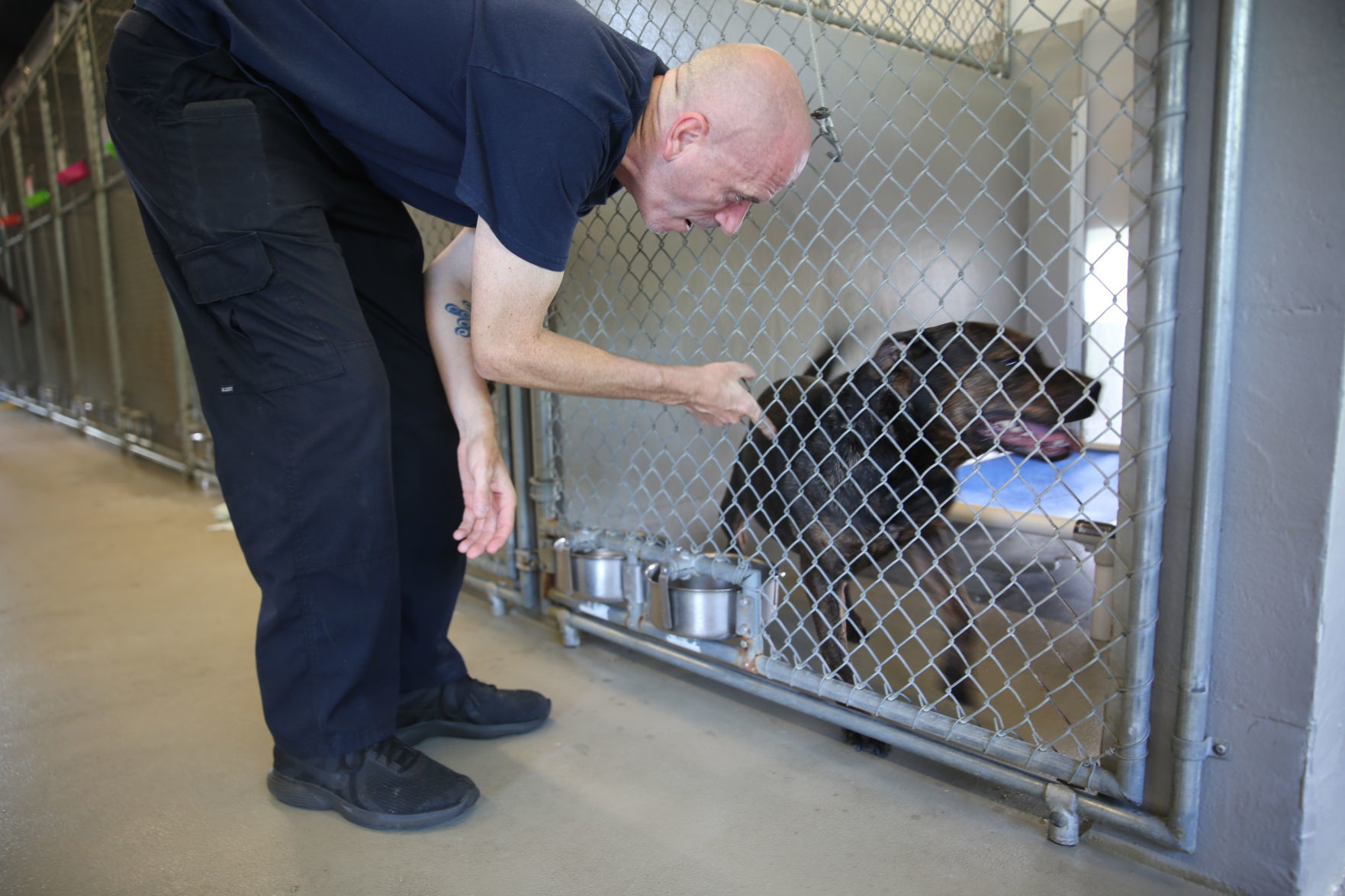 Atlantic County Animal Shelter's Clear the Shelter event Satuday, Aug. 17, 2019. The event runs through Sunday, Aug. 18.